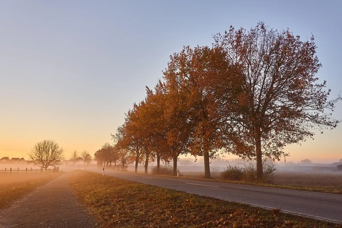 A Seasonal Guide to Twilight Walks in the UK: What to See Month by Month