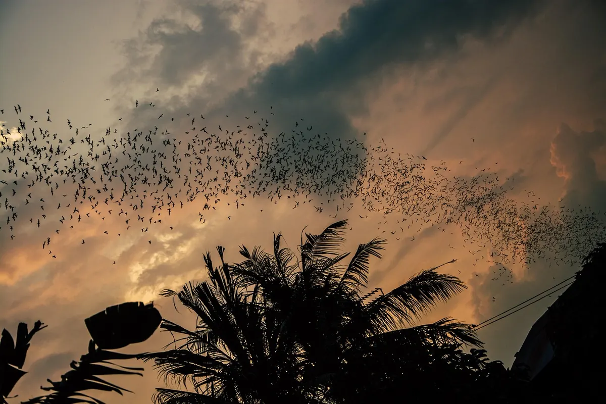 Twilight Wildlife Checklist: 12 British Species to Spot at Dusk